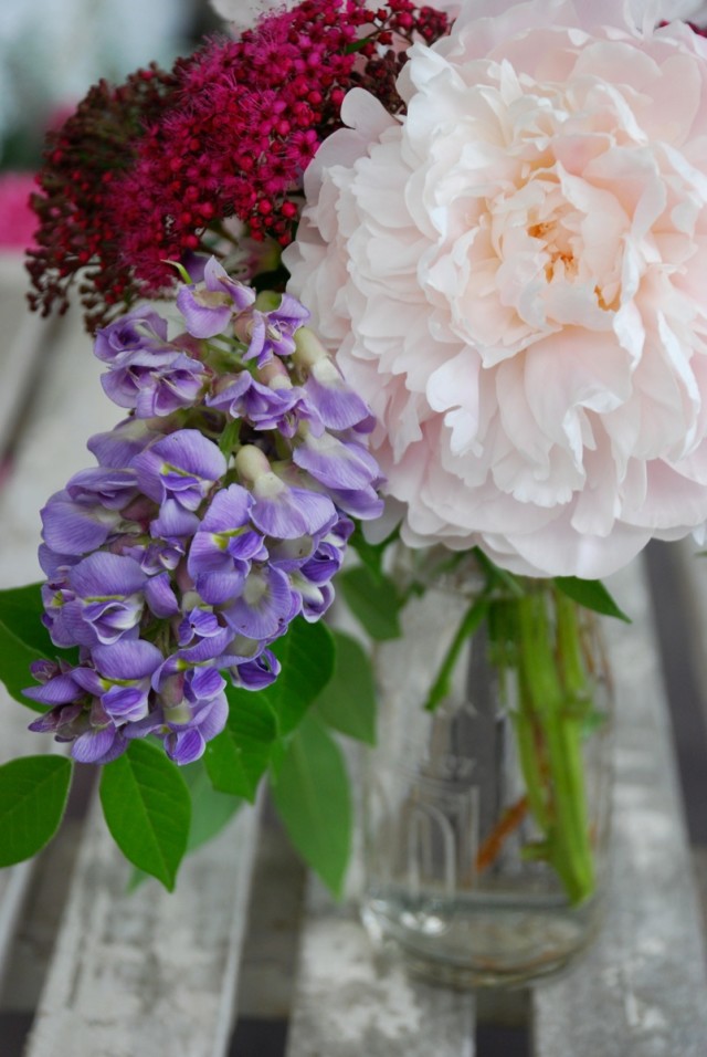 this week in the garden end of June - peonies and wisteria in antique bottle | tiny farmhouse