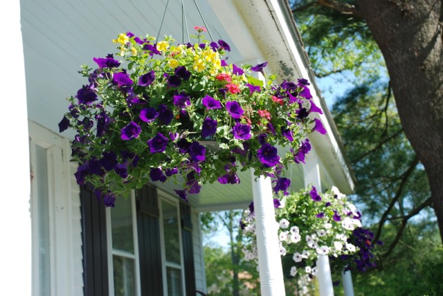 tiny farmhouse front porch hanging flowers | tiny farmhouse