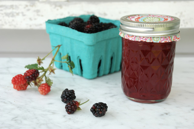 this-week-in-the-garden-end-of-July-blackberry-syrup | tinyfarmhouse