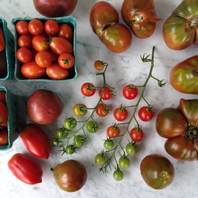 this week in the garden - end of August: tomato harvest | tiny farmhouse