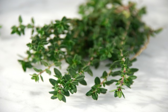 this-week-in-the-garden-early-January-thyme-bunch | tiny farmhouse