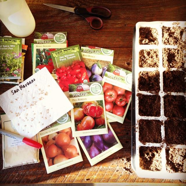 this week in the garden late March seeds | tiny farmhouse