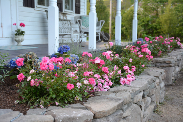 this-week-in-the-garden-mid-June-porch-reno-stone-wall | tiny farmhouse