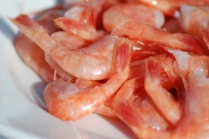 Darned Tasty Shrimpy-Shrimp